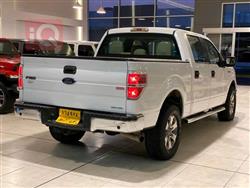 فۆرد F-150